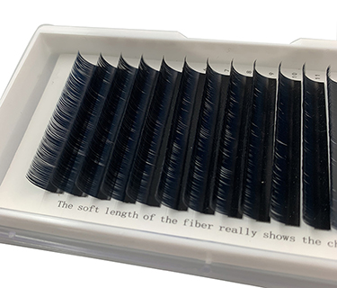 Regular Premium Lash Extensions